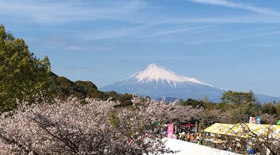 🏟️ 시미즈 니혼다이라 운동공원 (시미즈 니혼다이라 운도코엔) 이미지 2